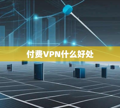 付费VPN什么好处
