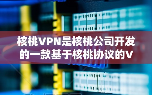 核桃VPN是核桃公司开发的一款基于核桃协议的VPN软件，主要针对安卓用户设计。核桃协议是一种用于保护数据和网络的协议，核桃VPN通过此协议提供安全的加密通信服务