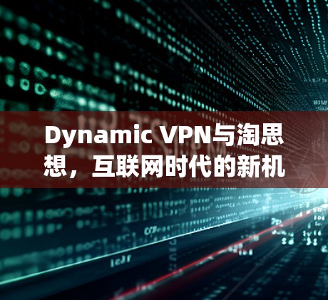 Dynamic VPN与淘思想，互联网时代的新机遇