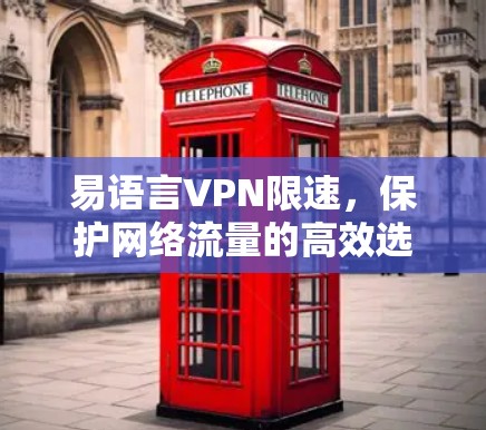 易语言VPN限速，保护网络流量的高效选择