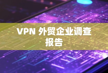 VPN 外贸企业调查报告