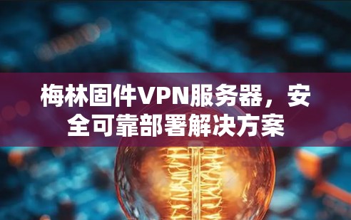 梅林固件VPN服务器，安全可靠部署解决方案