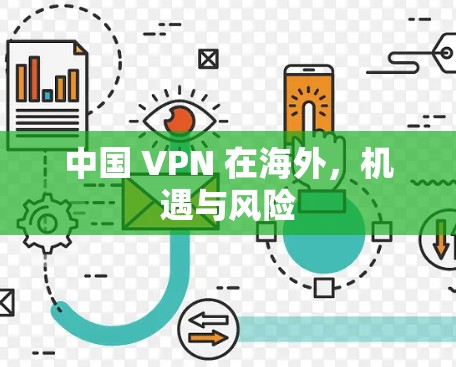 中国 VPN 在海外，机遇与风险
