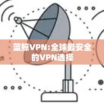 蓝鲸VPN:全球最安全的VPN选择
