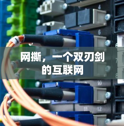 网撕，一个双刃剑的互联网