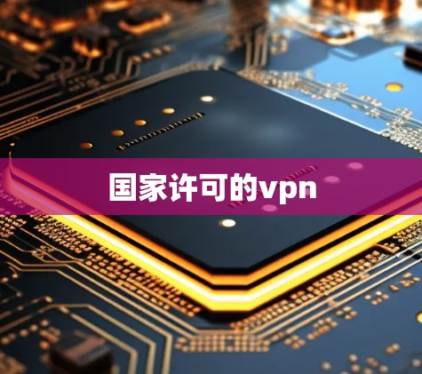 国家许可的vpn