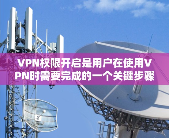 VPN权限开启是用户在使用VPN时需要完成的一个关键步骤，它确保了用户能够访问特定的网络服务或端口。以下是详细的步骤和注意事项