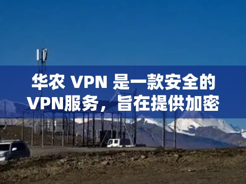 华农 VPN 是一款安全的VPN服务，旨在提供加密、多端访问和安全设置的功能，帮助用户访问互联网时保持隐私和安全。以下是一些使用华农 VPN 的常用步骤和注意事项