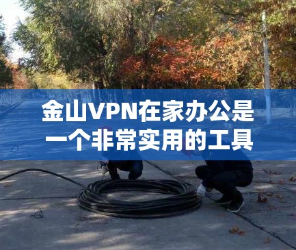 金山VPN在家办公是一个非常实用的工具，以下是其主要特点及其适用情况的总结