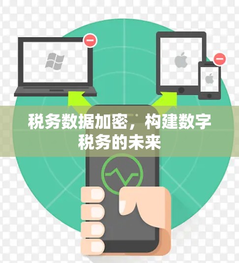 税务数据加密,构建数字税务的未来 税务数据加密,构建数字税务的未来