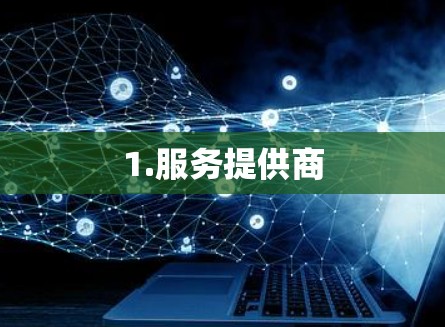 1.服务提供商
