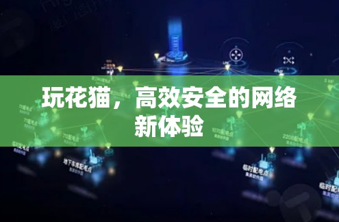 玩花猫，高效安全的网络新体验
