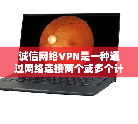 诚信网络VPN是一种通过网络连接两个或多个计算机，提供加密通信的网络服务，确保用户的信息安全和隐私保护。以下是对诚信网络VPN的详细总结和推荐，帮助你做出明智的选择