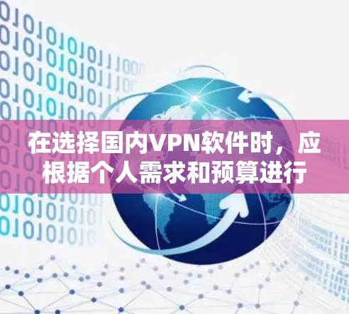 在选择国内VPN软件时，应根据个人需求和预算进行权衡。以下是一些综合考虑的推荐和使用建议