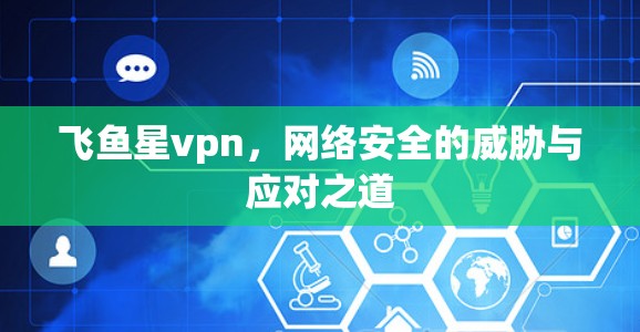 飞鱼星vpn，网络安全的威胁与应对之道