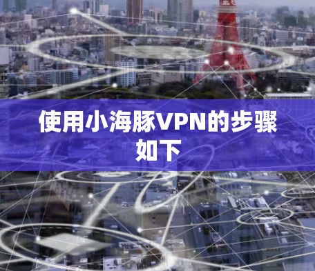 使用小海豚VPN的步骤如下