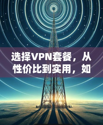 选择VPN套餐，从性价比到实用，如何在有限预算中获得真正的网络舒适