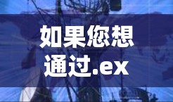 如果您想通过.exe文件连接互联网，通常需要在Excel或其他电子表格软件中使用，但这并不是VPN。VPN主要通过软件工具来实现