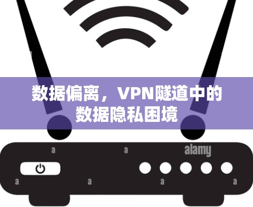 数据偏离，VPN隧道中的数据隐私困境