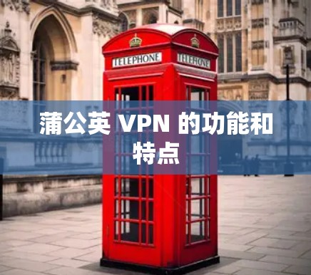 蒲公英 VPN 的功能和特点