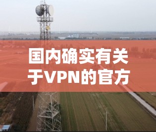 国内确实有关于VPN的官方服务和协议，以下是一些关键点
