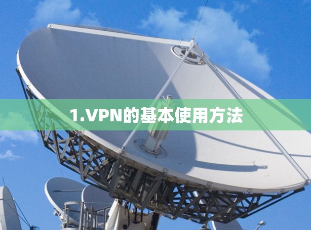 1.VPN的基本使用方法