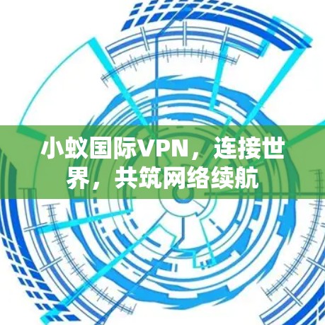 小蚁国际VPN，连接世界，共筑网络续航