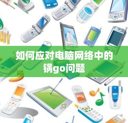 如何应对电脑网络中的锅go问题
