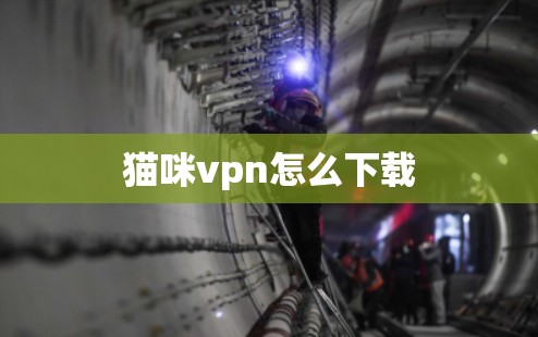 猫咪vpn怎么下载