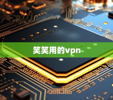笑笑用的vpn