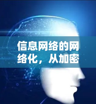 信息网络的网络化，从加密到连接的未来