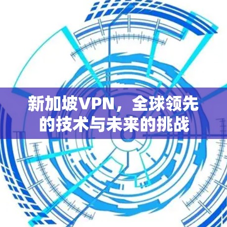 新加坡VPN，全球领先的技术与未来的挑战