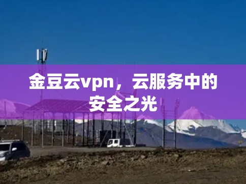 金豆云vpn，云服务中的安全之光
