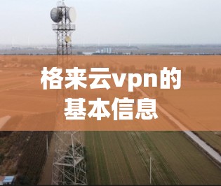 格来云vpn的基本信息