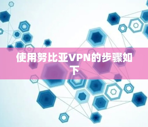 使用努比亚VPN的步骤如下