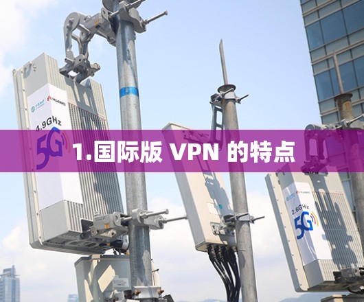 1.国际版 VPN 的特点
