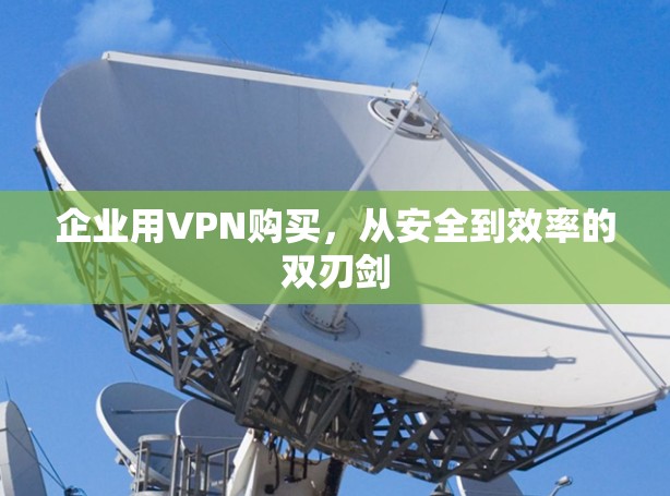 企业用VPN购买，从安全到效率的双刃剑