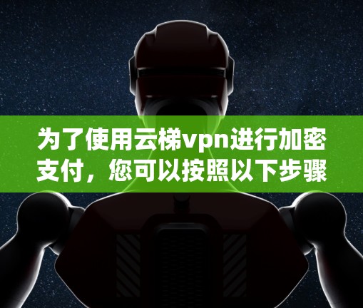 为了使用云梯vpn进行加密支付，您可以按照以下步骤操作