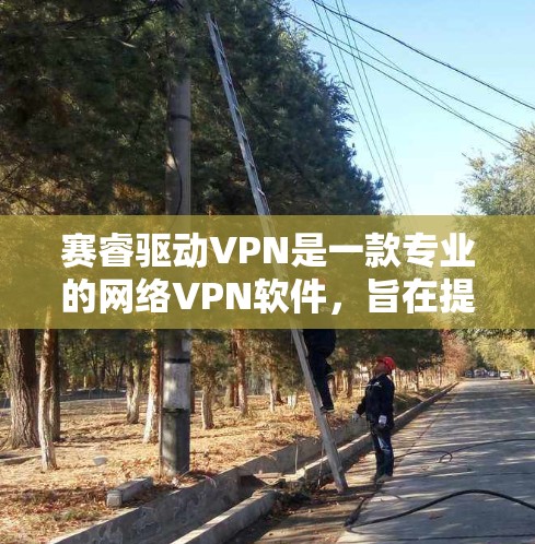 赛睿驱动VPN是一款专业的网络VPN软件，旨在提供安全、可靠的网络连接体验。它支持多种网络环境，包括企业级网络、家庭网络以及个人用户。以下是关于赛睿驱动VPN的一些关键信息