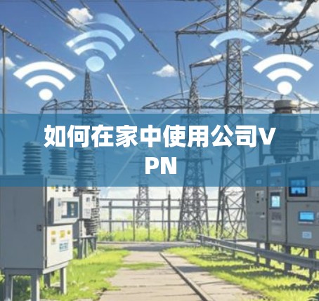 如何在家中使用公司VPN