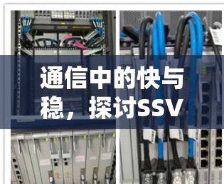 通信中的快与稳，探讨SSVPN的技术与性能