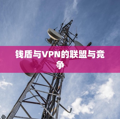 钱盾与VPN的联盟与竞争 钱盾与VPN的联盟与竞争