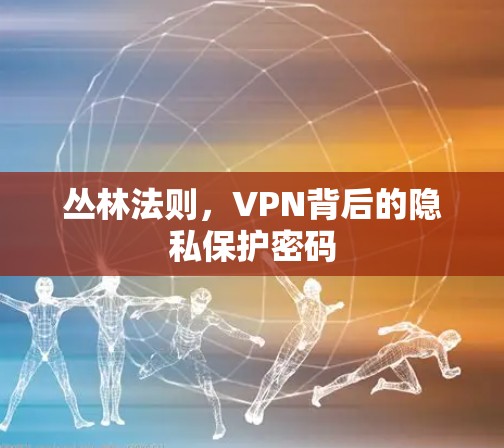 丛林法则，VPN背后的隐私保护密码