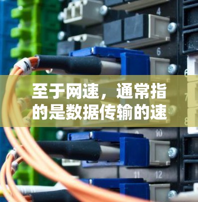 至于网速，通常指的是数据传输的速度，这在不同的国家和地区可能会有所不同。例如，中国的3G网络速度较慢，而4G网络速度较快。此外，网络速度还受多种因素影响，如地理位置、网络运营商、网络覆盖范围等因素