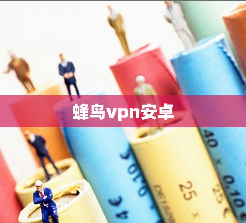 蜂鸟vpn安卓
