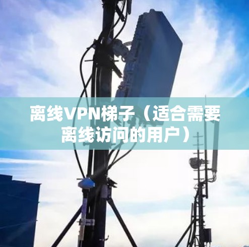 离线VPN<strong>梯子</strong>（适合需要离线访问的用户）