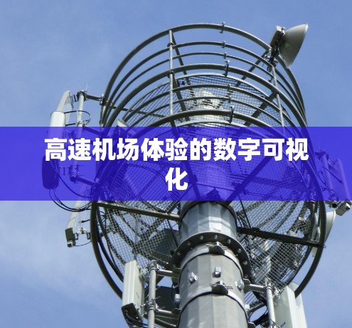 高速机场体验的数字可视化