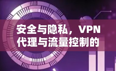 安全与隐私，VPN代理与流量控制的双层防护