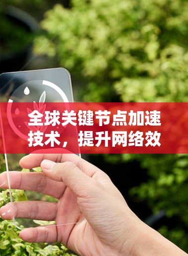 全球关键节点加速技术，提升网络效率的关键路径