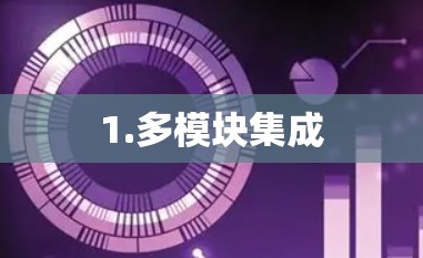 1.多模块集成
